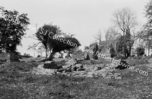 INCH ABBEY RUINS FROM S.E.